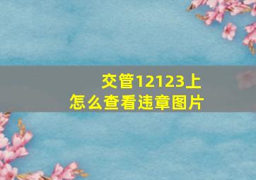 交管12123上怎么查看违章图片