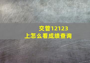 交管12123上怎么看成绩查询