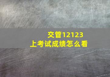 交管12123上考试成绩怎么看