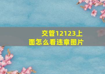 交管12123上面怎么看违章图片