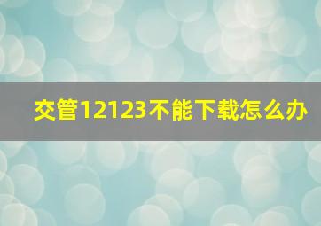 交管12123不能下载怎么办