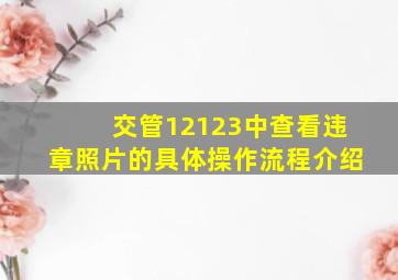 交管12123中查看违章照片的具体操作流程介绍