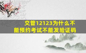 交管12123为什么不能预约考试不能发验证码