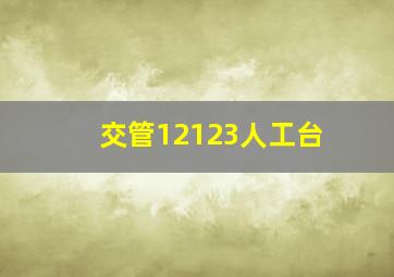 交管12123人工台