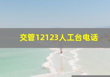 交管12123人工台电话