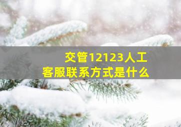 交管12123人工客服联系方式是什么