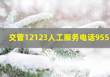 交管12123人工服务电话95518