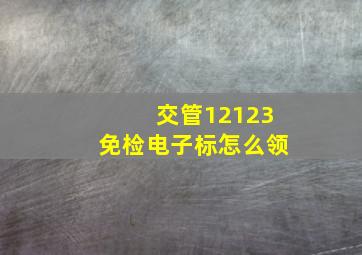 交管12123免检电子标怎么领