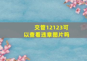 交管12123可以查看违章图片吗