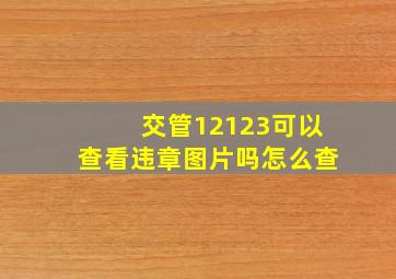 交管12123可以查看违章图片吗怎么查