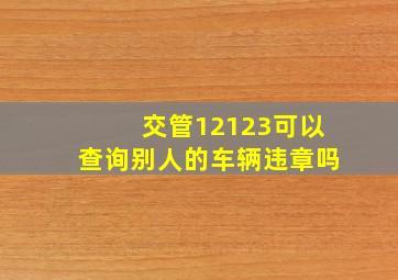 交管12123可以查询别人的车辆违章吗