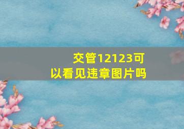 交管12123可以看见违章图片吗