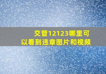 交管12123哪里可以看到违章图片和视频