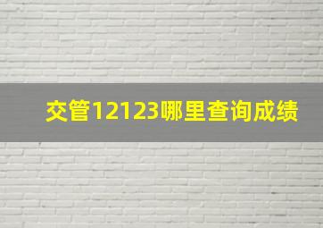 交管12123哪里查询成绩