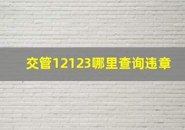 交管12123哪里查询违章