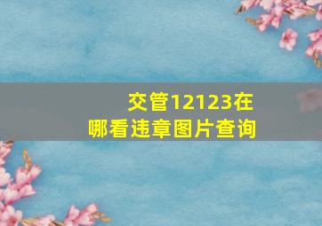 交管12123在哪看违章图片查询