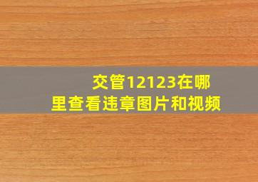 交管12123在哪里查看违章图片和视频