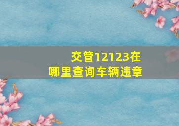 交管12123在哪里查询车辆违章