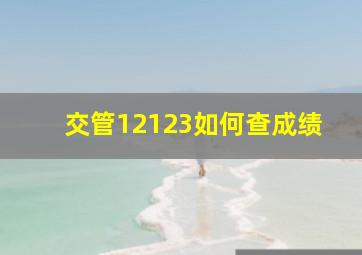 交管12123如何查成绩