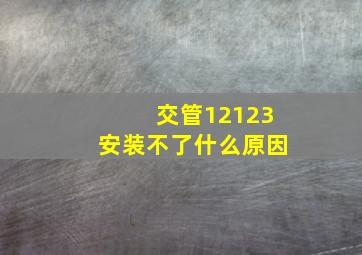 交管12123安装不了什么原因