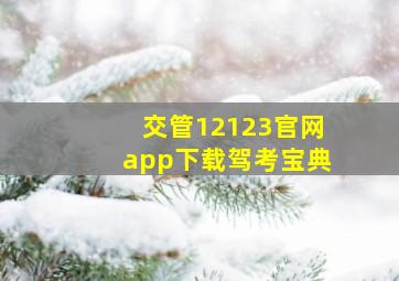 交管12123官网app下载驾考宝典