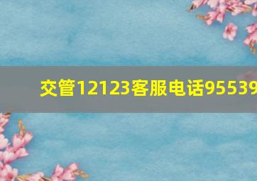 交管12123客服电话95539