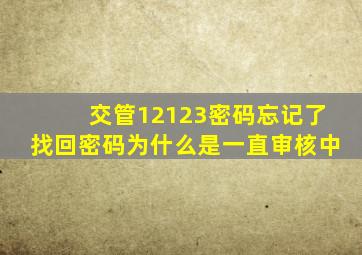 交管12123密码忘记了找回密码为什么是一直审核中