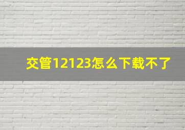 交管12123怎么下载不了