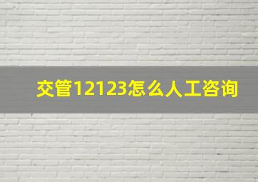 交管12123怎么人工咨询