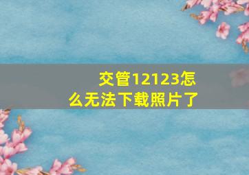 交管12123怎么无法下载照片了