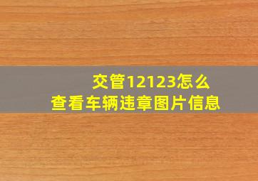 交管12123怎么查看车辆违章图片信息