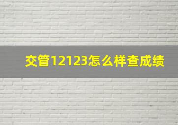 交管12123怎么样查成绩