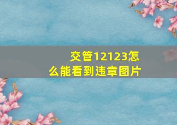 交管12123怎么能看到违章图片