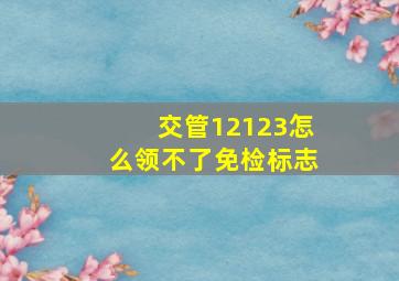 交管12123怎么领不了免检标志