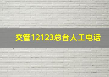 交管12123总台人工电话