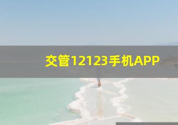 交管12123手机APP