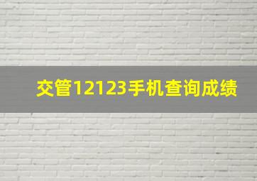 交管12123手机查询成绩