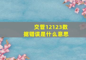 交管12123数据错误是什么意思