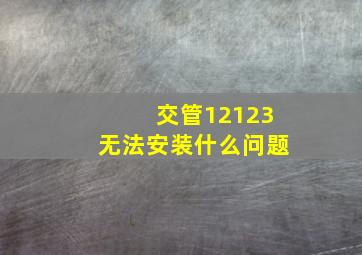 交管12123无法安装什么问题