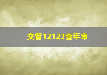 交管12123查年审