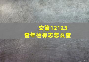 交管12123查年检标志怎么查