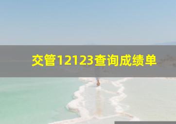 交管12123查询成绩单