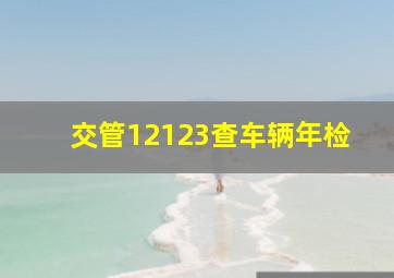 交管12123查车辆年检