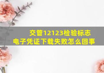 交管12123检验标志电子凭证下载失败怎么回事