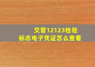 交管12123检验标志电子凭证怎么查看