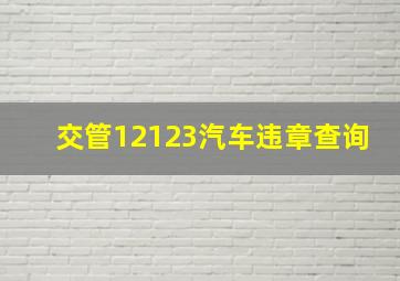 交管12123汽车违章查询