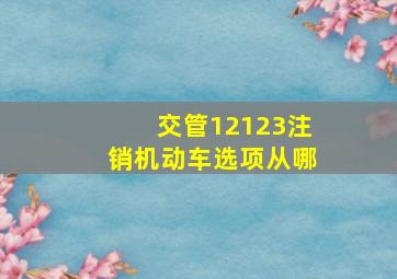 交管12123注销机动车选项从哪