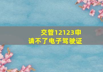 交管12123申请不了电子驾驶证