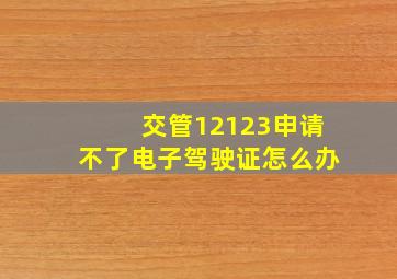 交管12123申请不了电子驾驶证怎么办