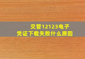 交管12123电子凭证下载失败什么原因